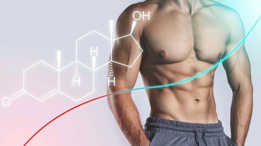 Testosterone Replacement Therapy (TRT) makes difference